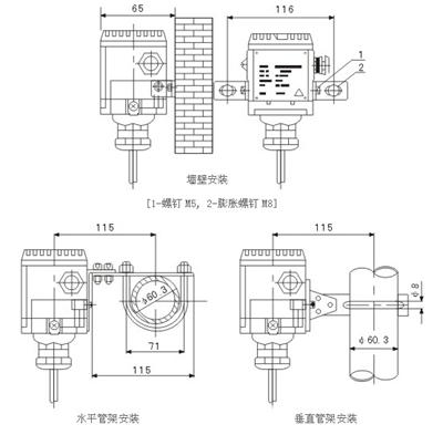 投入式液位計的結構及安裝尺寸