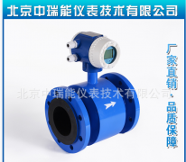 ZRN-LDC分體式電磁流量計