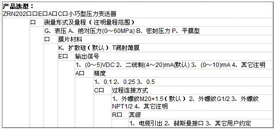 ZRN202壓力變送器